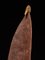 Australia Aboriginal Decorative Spear Carving 2