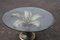 French Silver Wood & Glass Coffee Table, 1970 5