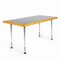 Formica Table 2