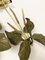 French Brass Foliage and Cattails Sconces in the Style of Maison Charles, 1960s, Set of 2, Image 6