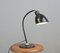 Polo Popular Desk Lamp by Christian Dell for BuR 2