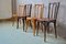 Bentwood Chairs, 1920s, Set of 4 5