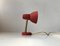 Scandinavian Pastel Red Wall Lamp in Brass & Aluminum, 1950s 1