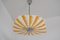 Mid-Century Pendant, 1960s 2