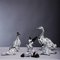 Duck Sculptures in Black & White Murano Glass by Archimede Seguso, Set of 2, Image 5