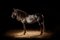 Peter Ridge, Caballo 1, Impresión con pigmento de archivo, 2019, Imagen 1