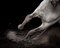 Ehpico D’Atela Purebred Lusitano Stallion #1, Signed Limited Edition Print, 2018, Image 2