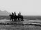 Ian Sanderson, Horses, 1996, Impresión con pigmento de archivo, Imagen 5