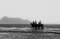 Ian Sanderson, Horses, 1996, Impresión con pigmento de archivo, Imagen 1