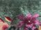 Tappeto verde e floreale Art Déco, XIX secolo, Immagine 5
