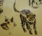 Cani e gatti, inchiostro e acquarello, 1953, Immagine 3