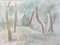 Giulio Da Milano, Undergrowth Forest, Trees, Greenery Watercolor, 1929 2
