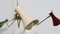 Brass 5-Arm Chandelier from Stilnovo, 1950s, Image 6