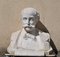 Busto in marmo, gentiluomo con baffi, XIX secolo, Immagine 23
