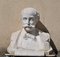 Marble Bust, Gentleman with Moustache, 19th Century, Image 23