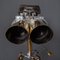 20th Century Polish Binoculars on Telescopic Stand from TZK, 1950s 10