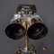 Fernglas aus dem XX. Jahrhundert auf Teleskopständer von TZK, 1950er 10