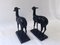 Bronze Fallow Deer from Chiurazzi Artistic Foundry, Set of 2, Image 3