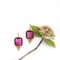 Boucles d'Oreilles Cameo Vermeil Rouges, Italie, Set de 2 5