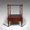 Antique Regency Two-Tier Side Table or Display Stand in Mahogany, Canterbury 5