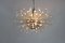 Miracle Chandelier from Bakalowits & Söhne, Image 2