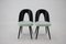 Dining Chairs by Antonin Suman, Czechoslovakia, 1960s, Set of 4 3