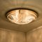 Deckenlampe aus gebürstetem Muranoglas von Hillebrand, Österreich 5