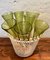Champagnergläser aus Pomponetta aus geblasenem Glas, Frankreich 1960er, 7er Set 9