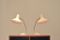 Lampes de Bureau en Métal Blanc par J.J Hoogervorst pour Anvia, Set de 2 1