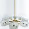 Brass Chandelier with 8 Glass Shades in the Style of Kalmar, 1960s, Image 17