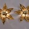 Large Brass Flower Wall Light in the style of Willy Daro, 1970s 3
