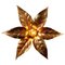 Large Brass Flower Wall Light in the style of Willy Daro, 1970s 1