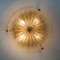 Thick Large Handmade Glass & Brass Flush Mount or Wall Light from Hille, 1960s 14