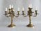 Large 5-Armed Candlesticks in Brass, 1950s, Set of 2, Image 9