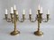 Large 5-Armed Candlesticks in Brass, 1950s, Set of 2 1