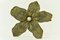 Orchid Brooch by Theodor Fahrner, Germany, 1935, Image 9