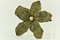 Orchid Brooch by Theodor Fahrner, Germany, 1935, Image 8
