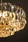 Chandelier from Bakalowits & Söhne, 1950s 4