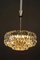 Chandelier from Bakalowits & Söhne, 1950s 8