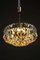 Chandelier from Bakalowits & Söhne, 1950s 11