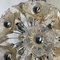 Vintage Sputnik Chandelier with 35 Glass Flowers from Venini, 1970s, Image 6