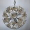 Vintage Sputnik Chandelier with 35 Glass Flowers from Venini, 1970s, Image 5