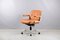 Chaise Pasal Mid-Century par Professor Dittert pour Stoll Giroflex, 1960s 1