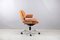 Mid-Century Pasal Chair by Professor Dittert for Stoll Giroflex, 1960s 9