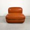 Diega Lounge Chair by Gastone Rinaldi for Rima, 1970s, Image 2