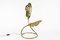 Italian Brass Desk Lamp by Carlo Giorgi & Tommaso Barbi for Bottega Gadda, 1960s 1