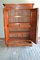 Antique Mahogany Biedermeier Wardrobe 2