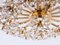 Jewel Flush Mount Swarovski Crystal & Gilt-Brass Chandelier from Palwa, 1960s 6