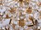 Jewel Flush Mount Swarovski Crystal & Gilt-Brass Chandelier from Palwa, 1960s, Image 4