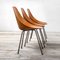 Model Medea Chairs by Vittorio Nobili for Fratelli Tagliabue, Set of 6 3